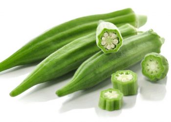 Đậu bắp là loại cây quen thuộc, có giá trị dinh dưỡng cao 