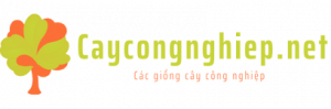 logo-caycongnghiep