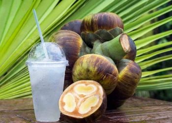 Loại trái cây vừa quen vừa lạ với người Việt