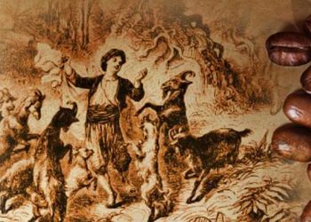 Cà phê được biết đến qua “đàn dê”