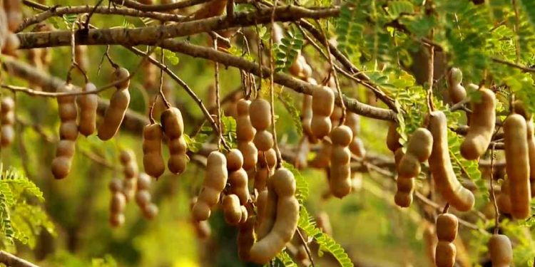 Mang một giá trị độc quyền cho riêng mình