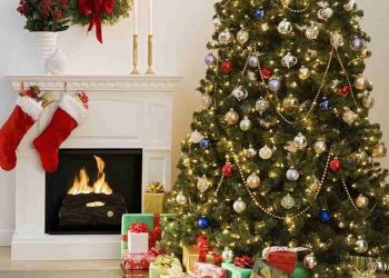 Màu xanh tươi của cây thông tượng trưng cho chúa Trời