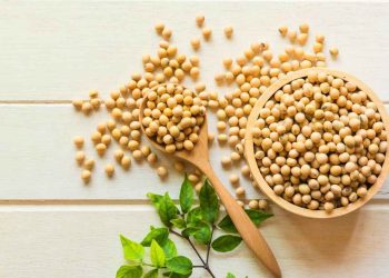 Ăn nhiều đậu tương có béo không?