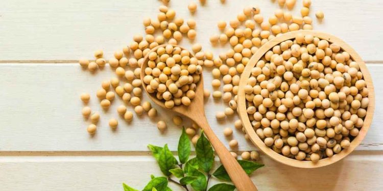 Ăn nhiều đậu tương có béo không?