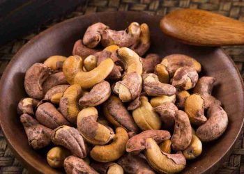 Hạt Điều là loại hạt gì?