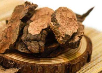 Một số điều cần lưu ý khi sử dụng hà thủ ô