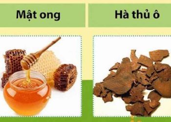 Sự kết hợp giữa mật ong nguyên chất với dạ dao đằng mang đến hiệu quả bất ngờ