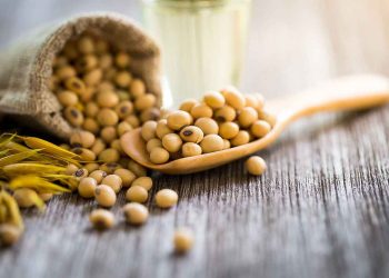 Đậu tương có tác dụng gì đối với sức khỏe?