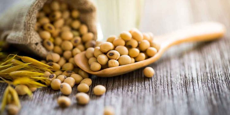 Đậu tương có tác dụng gì đối với sức khỏe?