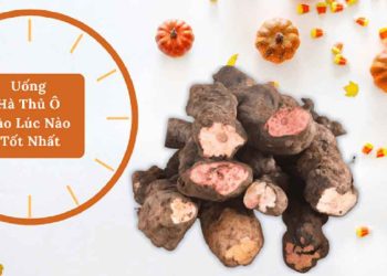 Nên uống hà thủ ô vào lúc nào?