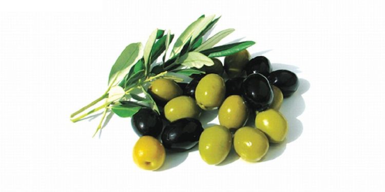 Phân biệt ô liu xanh và ô liu đen