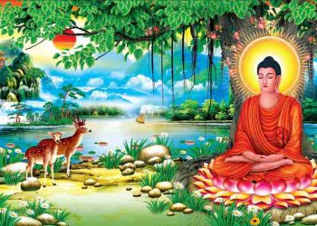 Sự khác biệt của cây bồ đề trong các tôn giáo khác nhau