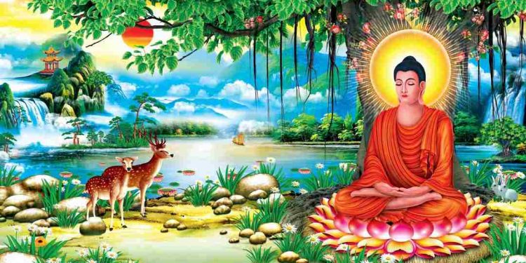 Sự khác biệt của cây bồ đề trong các tôn giáo khác nhau