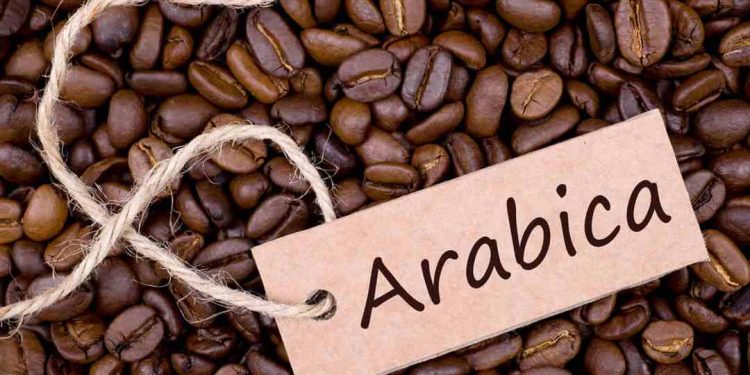 Cách Bảo Quản Cà Phê Arabica Để Giữ Được Hương Vị Tốt Nhất