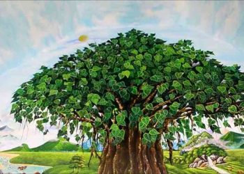 Giới thiệu về cây bồ đề: nguồn gốc, tính chất, mô tả.