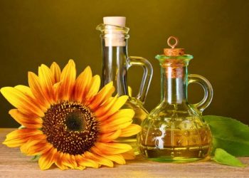 Tăng hiệu quả khi sử dụng dầu mè để chữa bệnh tiểu đường