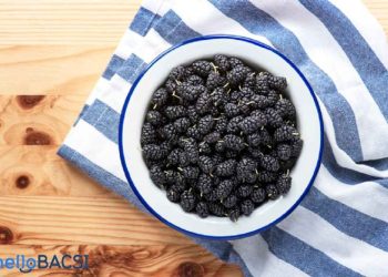 Giá trị dinh dưỡng của quả dâu tằm