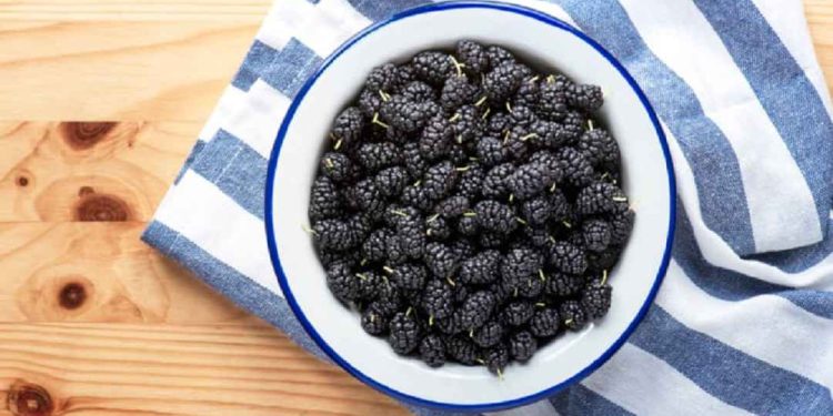 Giá trị dinh dưỡng của quả dâu tằm