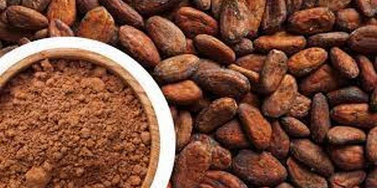 Lợi Ích Của Hạt Cacao đối với Sức Khỏe