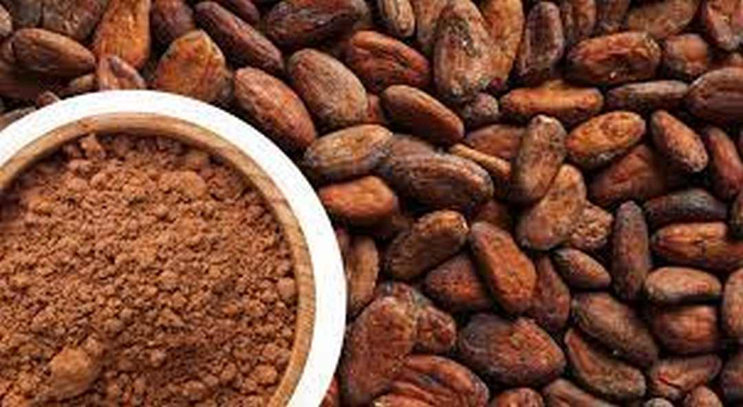 Lợi Ích Của Hạt Cacao đối với Sức Khỏe