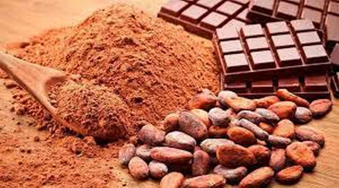 Cách Làm Món Ăn Từ Hạt Cacao