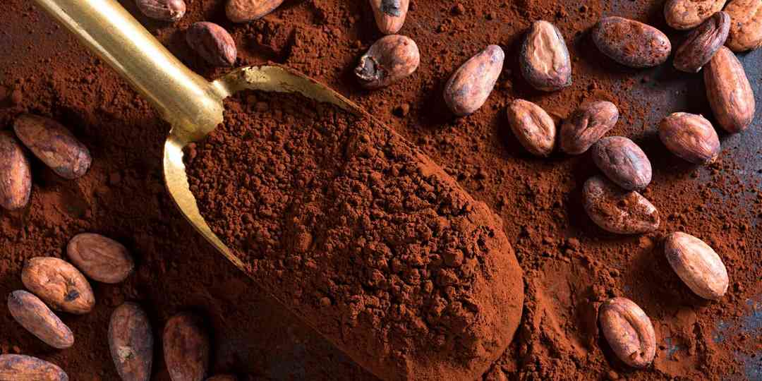 Cách chọn bột cacao tốt 
