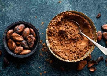 Cách sử dụng bột cacao trong món ăn