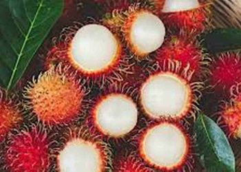 Cách trang trí món Chôm Chôm Nhãn để thêm hấp dẫn