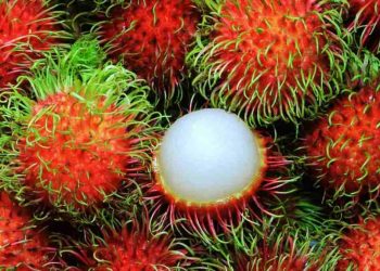 Cách trang trí món Chôm Chôm Thái để thêm hấp dẫn