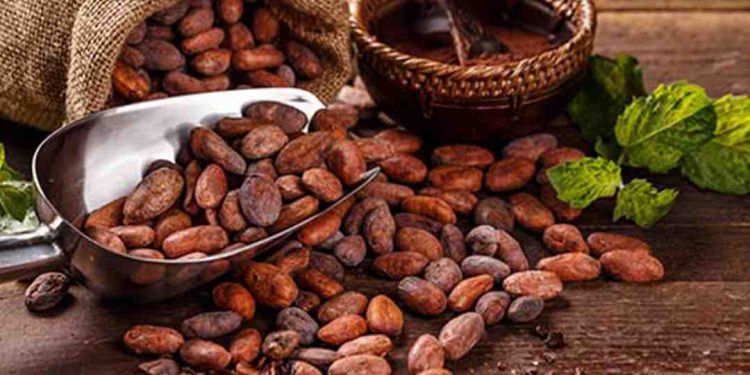 Tại Sao Cacao Là Một Thực Phẩm Bổ Dưỡng?