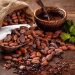 Tại Sao Cacao Là Một Thực Phẩm Bổ Dưỡng?