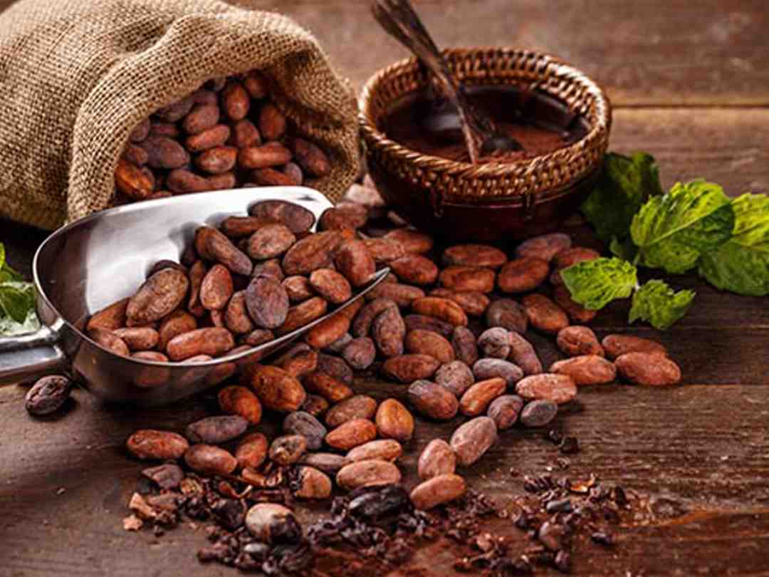 Tại Sao Cacao Là Một Thực Phẩm Bổ Dưỡng?