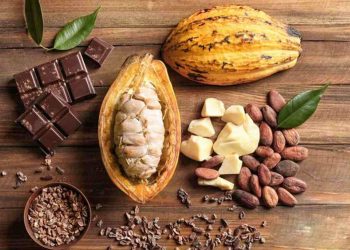 Cách Sử Dụng Cacao Để Tăng Cường Sức Khỏe