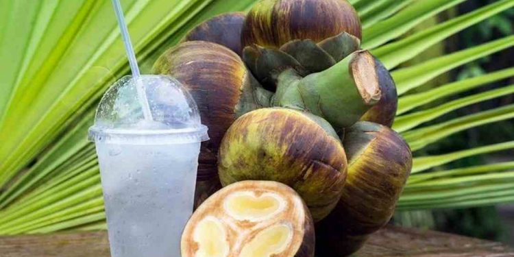 Loại trái cây vừa quen vừa lạ với người Việt