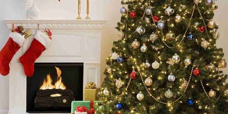 Màu xanh tươi của cây thông tượng trưng cho chúa Trời