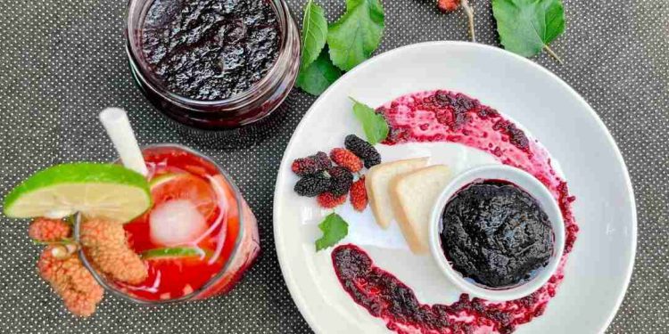 Dâu tằm có thể làm thành nhiều món ăn có lợi cho sức khỏe