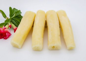 Loài cây gắn liền cùng những năm tháng lịch sử