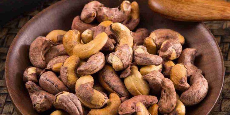 Hạt Điều là loại hạt gì?