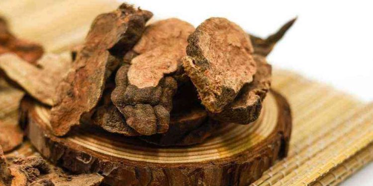 Một số điều cần lưu ý khi sử dụng hà thủ ô