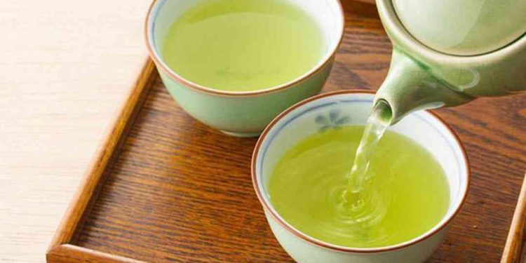 Nên dùng chè tươi hay chè khô?