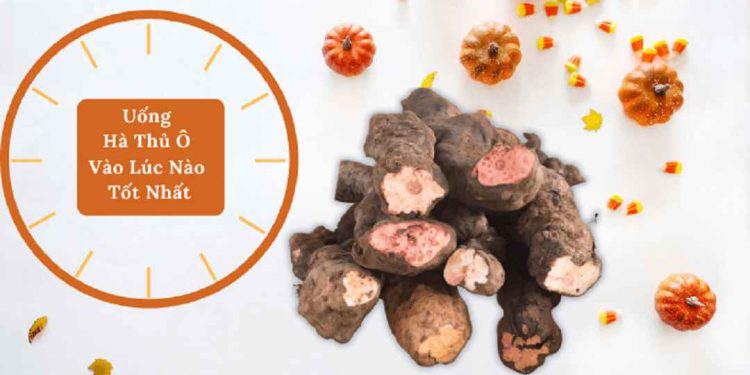 Nên uống hà thủ ô vào lúc nào?