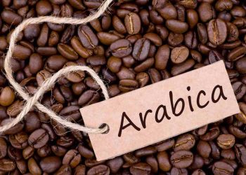 Cách Bảo Quản Cà Phê Arabica Để Giữ Được Hương Vị Tốt Nhất