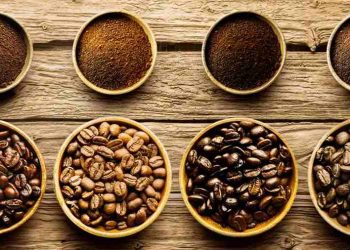 Cách lựa chọn nguồn gốc cà phê tốt nhất