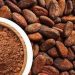 Lợi Ích Của Hạt Cacao đối với Sức Khỏe