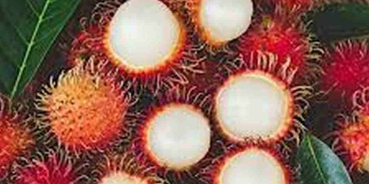 Cách trang trí món Chôm Chôm Nhãn để thêm hấp dẫn