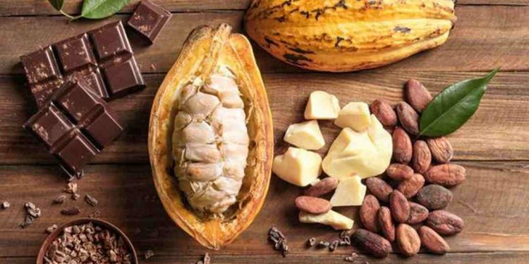 Cách Sử Dụng Cacao Để Tăng Cường Sức Khỏe